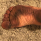 Imagen para el artículo titulado Resuelven el misterio de los visitantes que acudían a las playas de Maine y regresaban con los “pies negros”